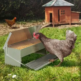 Meilleurs prix pour Mangeoire XL pour poules distributeur automatique à pédale en acier 5 KG Label