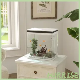 Meilleurs prix pour Cocosity Petit Aquarium Complet 14L Aquarium En Verre Avec Système De Filtration Éclairage Led Pompe À Eau 30 X 20 X 33 Cm Blanc
