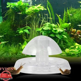 Meilleurs prix pour FYDUN piège à escargots daquarium  Piège à Escargots Receveur Daquarium Sûr en Plastique Environnemental animalerie eclairage