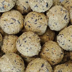 Meilleurs prix pour Boules de graisse pour oiseaux 200 x ca.90 grammes sans filet nourriture oiseaux jardin