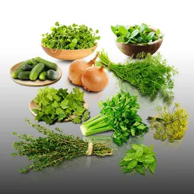 Comparer les prix de Lot de 2800 graines à semer - Le grenier d' Abondance - Mélange Aromatique - 10 sachets individuels