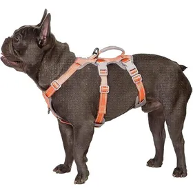 Comparer les prix de Harnais pour Chien Anti-Fugue Harnais artiste Anti-Fugue Harnais Entirement Rflchissant avec Orange#Petit(Pack 1) HARNAIS ANIMAL