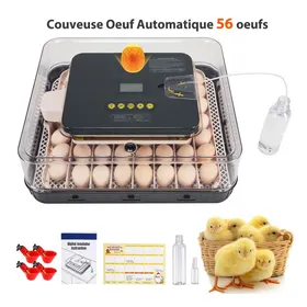 Meilleurs prix pour Couveuse Oeuf Automatique 56 oeufs - HOMDOX, Retourne-œufs, Humidification Auto, Température Stable, Incubateur avec Vue à 360°