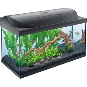 Comparer les prix de Tetra Starter Line LED Set Noir 105L - Aquarium Transparent