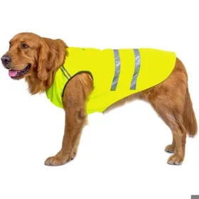 Meilleurs prix pour Gilet de sécurité pour chien Tissu réfléchissant et rembourré Collier élastique confortable Vert Jaune 3XL