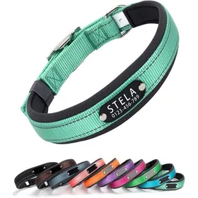 Meilleurs prix pour Collier Personnalisé Réfléchissant pour Chien – Collier en Nylon avec Plaque Gravée Nom et Numéro Personnalisables Confortable