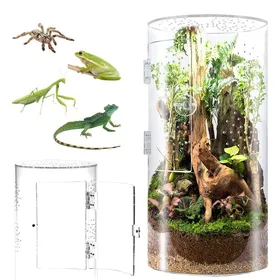 Meilleurs prix pour Terrarium cylindrique acrylique 29 cm - Vivarium transparent ventilé avec porte latérale pour insectes déco