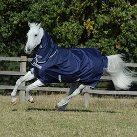 Comparer les prix de Couverture dextérieur pour cheval Bucas Freedom Turnout Light - 130 cm