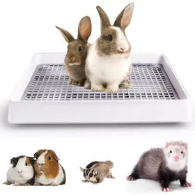 Meilleurs prix pour Bac à litière pour petits animaux - ZGEER - 57x46 cm - Blanc - Facile à nettoyer - Grille amovible