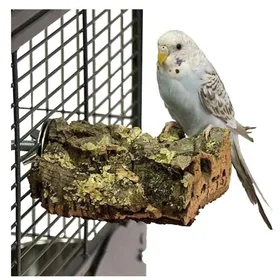 Comparer les prix de Perchoir en écorce de chêne-liège naturel - Taille S pour perroquets de petite et moyenne taille