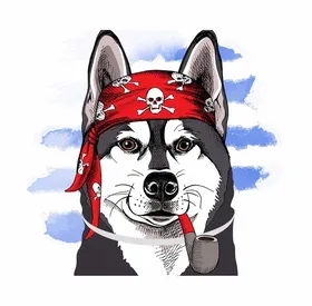 Meilleurs prix pour Chiwawagear Chiwawage Chien Plus de 8kg - Chien Collier Anti - Puces et Anti-Tiques pour Grands Chiens - 8KG Et Plus Chien