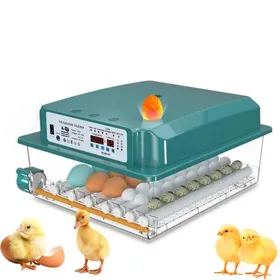 Comparer les prix de Couveuse Oeuf Automatique avec Contrôle de Température pour 36 Oeufs Retournement Automatique pour Oeufs de Poule, Caille, Canard