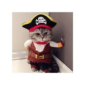 Meilleurs prix pour ®RisingFF Costume de pirate pour chat vêtement amusant pour chien costume de corsaire vêtements de fête (XL)