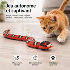 Comparer les prix de LBDC® - Serpent interactif jouet intelligent pour animal de compagnie