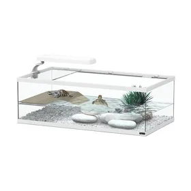 Meilleurs prix pour Aqua Tortum 55cm Blanc - Aquatlantis