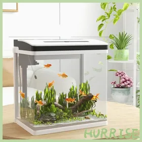 Meilleurs prix pour Cocosity Aquarium En Verre Avec Filtre Couvercle Et Lumière Led Pour Poissons Capacité 28L 38 X 26 X 395 Cm Blanc
