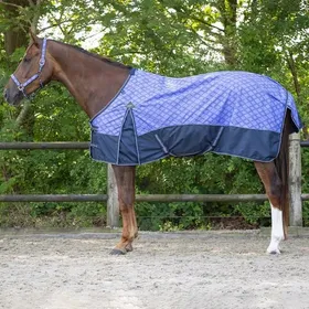 Meilleurs prix pour Couverture imperméable collection pour cheval QHP 0 g - Purple Sunset - Violet - 130 cm (Longueur totale: 175 cm)