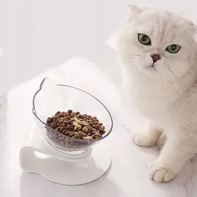 Comparer les prix de Gamelle sur pied pour chat et chien pour nourriture et eau simple 320 ml