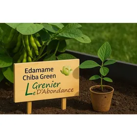 Meilleurs prix pour Mélange de graines - LE GRENIER DABONDANCE - Edamame Chiba Green - Glycine max - 20 grammes à semer