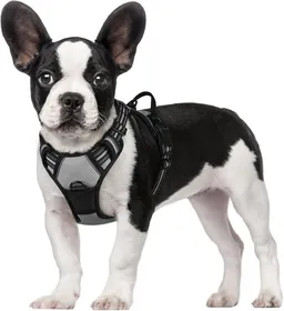 Meilleurs prix pour rabbitgoo Harnais Chien S Arnais Gris Anti Traction Réfléchissant Gilet Réglable pour Chien Attache Devant Crochet de Laisse