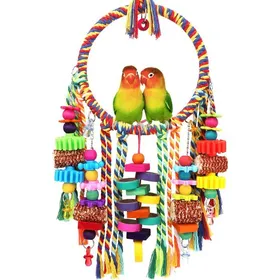 Meilleurs prix pour Bird Toys Bird Rope Ring Swing Perch avec Corn COB Cardboard Bagels Wooden Blocks Jouets à mâcher pour Perruche Coq Conure
