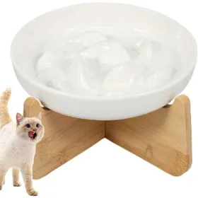 Comparer les prix de Gamelle anti-glouton surélevée bambou – bol céramique chat petit chien blanc Label