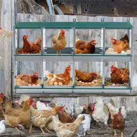 Comparer les prix de Poulailler - KIMFEAD  Pondoir à poules 8 compartiments Fixation murale - Acier galvanisé anti-corrosion pour poules pondeuses Vert