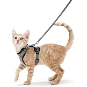Meilleurs prix pour Rabbitgoo Harnais Chat- Harnais Petit Chien avec Laisse Harnais Chaton Rglable Respirant Reflchissant XS-Gris gris HARNAIS ANIMAL