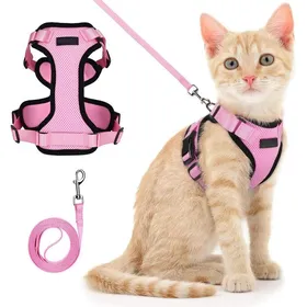 Comparer les prix de Harnais pour chat avec laisse - Harnais pour chat - Ensemble harnais et laisse pour chat - Gilet anti-fuite réglable pour chatons