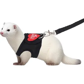 Meilleurs prix pour Ensemble Harnais et Laisse pour Furet Laisse Ajustable Imprimé Léopard Harnais Souple pour Petits Animaux Furets Cochons d...