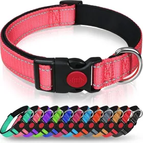 Meilleurs prix pour Collier pour Chien Collier en Nylon Réfléchissant Réglable Classique avec Rembourré Doux Respirant Mesh pour Grands Chiens L Rose