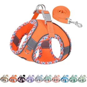Comparer les prix de Harnais pour Chien Anti-étranglement Harnais réglable pour Chien avec Laisse Boucle à dégagement Rapide - Entraînement Orange L