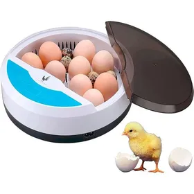 Comparer les prix de Couveuse automatique pour œufs - Virex® - 9 œufs - Contrôle automatique de la température - Observation facile