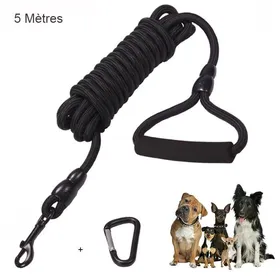 Meilleurs prix pour Laisse Chien 5m Laisses de dressage pour chiens avec Poigne Rembourre Douce pour Petits Grands Chiens - Noir Noir Noir LAISSE
