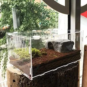 Comparer les prix de Mini boîte de transport pour terrarium, boîte d'alimentation en acrylique pour reptiles, boîte d'élevage portable pour reptiles,