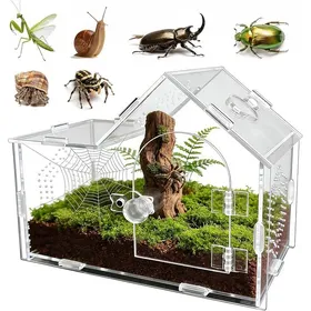Comparer les prix de Enclos en acrylique pour araignée sauteuse avec fermeture magnétique - Boîte de terrarium trparente ventilée pour