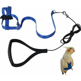Meilleurs prix pour Harnais réglable pour perroquet Laisse pour animal domestique Corde anti-morsure Sangle élastique pour oiseaux perroquets