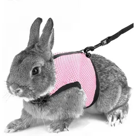 Comparer les prix de Harnais souple avec laisse pour lapins hamsters chats S rose