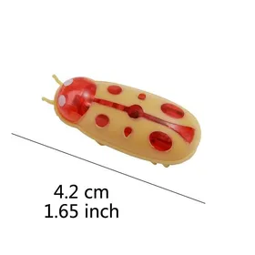 Comparer les prix de Jouet pour chat insecte vibrant - Phoesky - Coccinelle - 45x15x15 mm - Pile incluse - Vibration continue