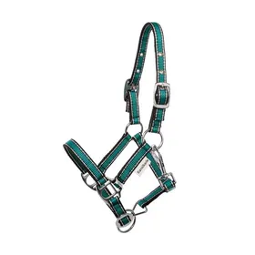 Comparer les prix de Licol pour cheval Kavalkade Shorty - Vert - Mini-Shetland