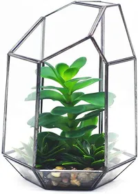 Meilleurs prix pour Terrarium gomtrique en verre fait main pour plantes ariennes succulentes Label