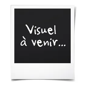 Comparer les prix de Tapis rafraîchissant pour chiens et chats - Tapis rafraîchissant durable - Tapis dété pour chiens et chats -