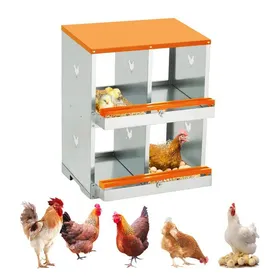 Meilleurs prix pour Pondoir Poules Pondeuses 4 Compartiments Poulailler Durable Œufs Protégés et Nettoyage Facile Double Couche Orange