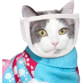 Meilleurs prix pour Muselière pour chat couvre-visage respirant pour chat muselière ajustable.