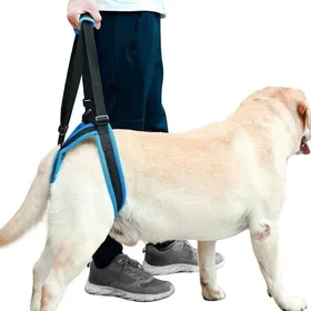 Meilleurs prix pour Harnais soutien chien respirant 2 types avant/arrière pour rééducation chiens âgés taille M.