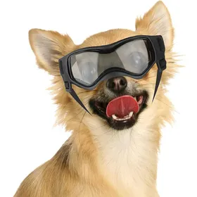 Comparer les prix de Lunettes de soleil pour petits chiens protection UV avec sangle en caoutchouc réglable coupe-vent pour moto