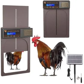 Comparer les prix de Porte automatique poulailler – avec écran LED programmable et panneau solaire – pour poules canards oies – 353 x 243 cm – café