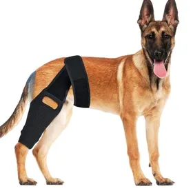 Meilleurs prix pour INF Orthèse de genou XL pour chien pour la récupération et le soutien du LCA