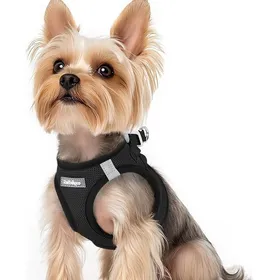Comparer les prix de Harnais Chien Petite Taille Noir XS Harnais Chiot Respirante en Maille Souple Arnet pour Chien Noir XS (Lot de 1)
