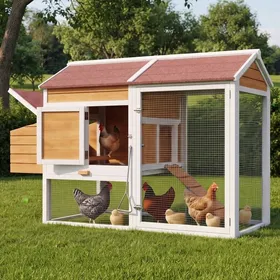 Comparer les prix de Poulailler dextérieur en bois de sapin pour 6 à 7 poules avec pondoir tiroir galvanisé 2 perchoirs enclos 185 × 91 × 115 cm